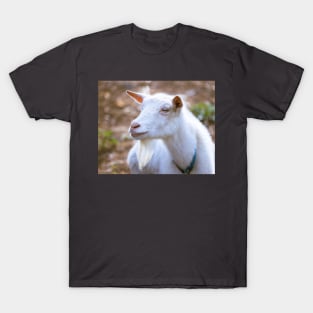 Old Bearded Goat Portrait T-Shirt